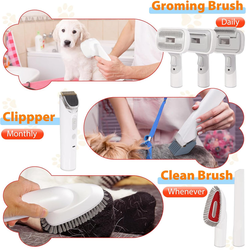 Pet Grooming Vacuum Kit 12-in-1 Low Noise Dog Hair Remover with 2.5L Dust Cup