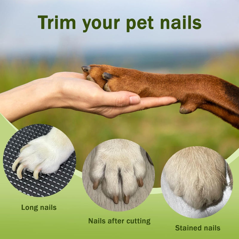 2-in-1 Dog Nail Grinder & Clipper with LED Light for Dogs and Cats