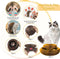 Magic Cat Scratch Board Toy with Ball Round Corrugated Cat Claw Grinding Frame